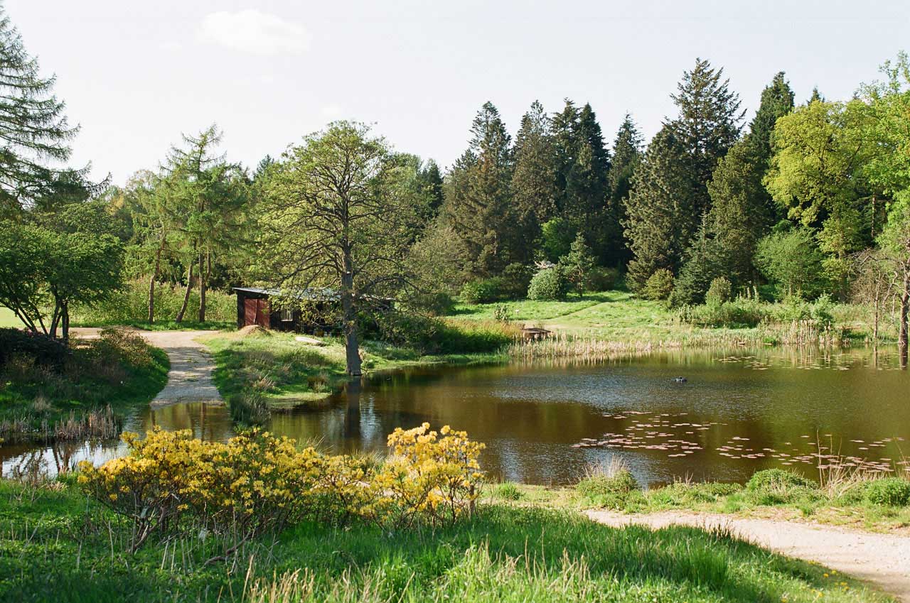 SPEJDERSØEN VED ARBORETET